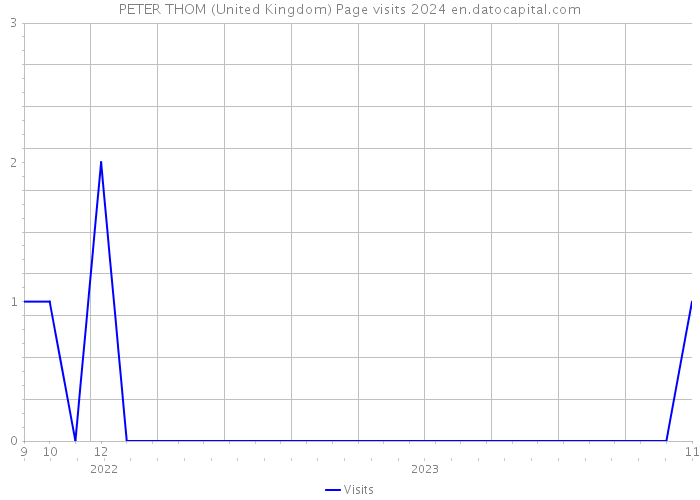 PETER THOM (United Kingdom) Page visits 2024 