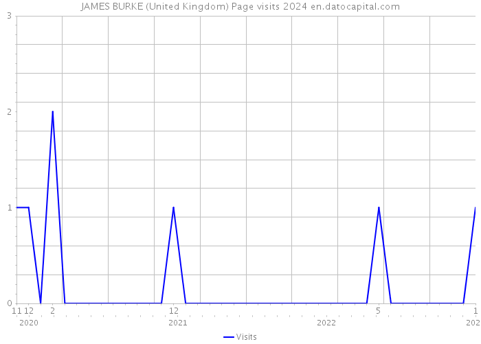 JAMES BURKE (United Kingdom) Page visits 2024 