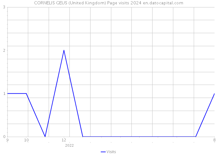 CORNELIS GEUS (United Kingdom) Page visits 2024 