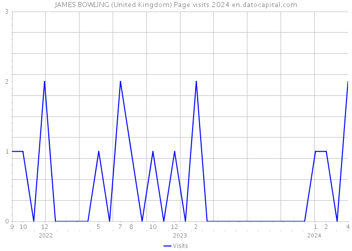 JAMES BOWLING (United Kingdom) Page visits 2024 