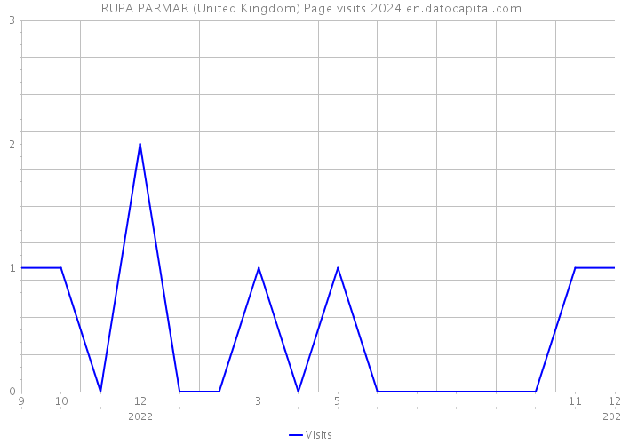 RUPA PARMAR (United Kingdom) Page visits 2024 