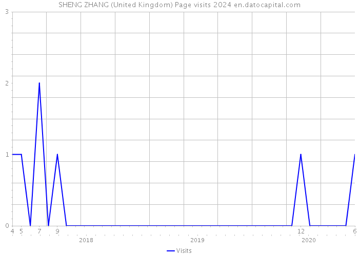 SHENG ZHANG (United Kingdom) Page visits 2024 