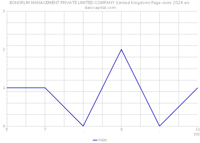 BONORUM MANAGEMENT PRIVATE LIMITED COMPANY (United Kingdom) Page visits 2024 