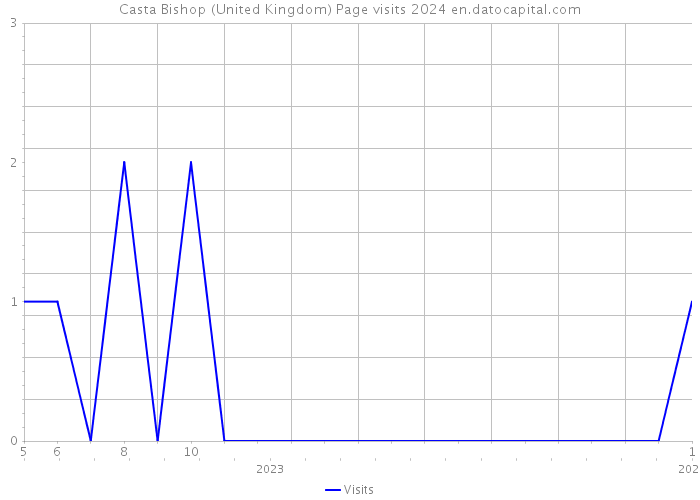 Casta Bishop (United Kingdom) Page visits 2024 