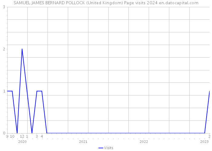 SAMUEL JAMES BERNARD POLLOCK (United Kingdom) Page visits 2024 