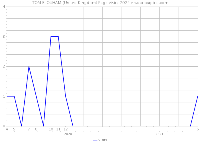 TOM BLOXHAM (United Kingdom) Page visits 2024 