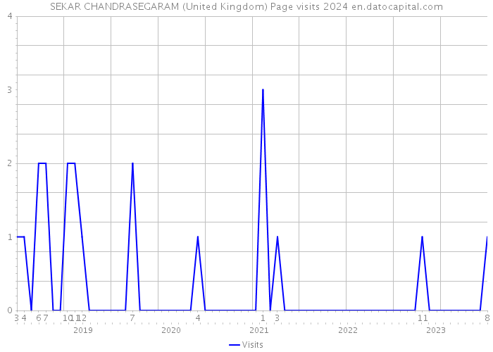 SEKAR CHANDRASEGARAM (United Kingdom) Page visits 2024 