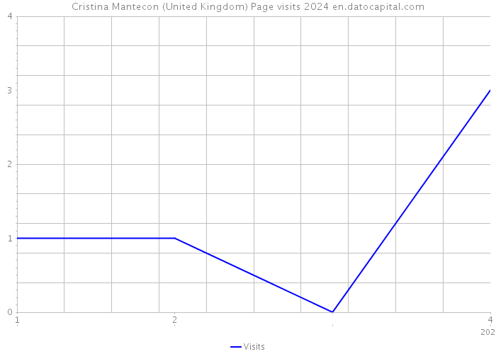 Cristina Mantecon (United Kingdom) Page visits 2024 