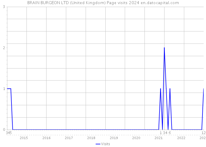 BRAIN BURGEON LTD (United Kingdom) Page visits 2024 