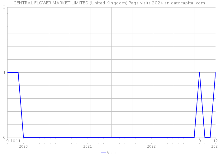 CENTRAL FLOWER MARKET LIMITED (United Kingdom) Page visits 2024 