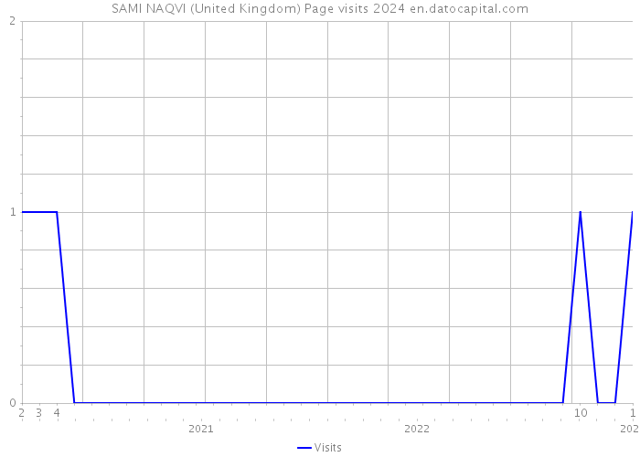 SAMI NAQVI (United Kingdom) Page visits 2024 