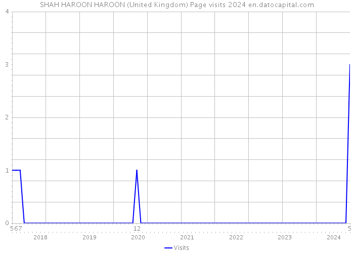 SHAH HAROON HAROON (United Kingdom) Page visits 2024 