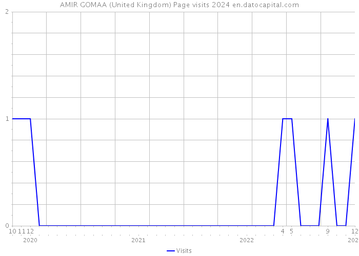 AMIR GOMAA (United Kingdom) Page visits 2024 