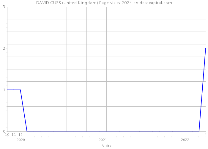 DAVID CUSS (United Kingdom) Page visits 2024 
