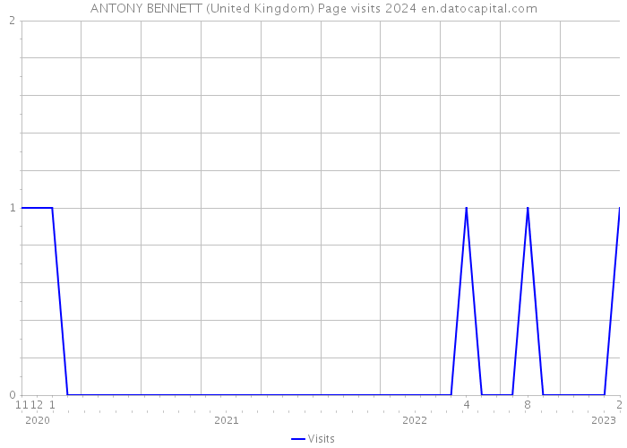 ANTONY BENNETT (United Kingdom) Page visits 2024 