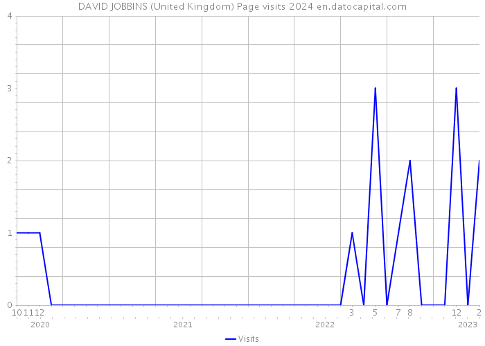 DAVID JOBBINS (United Kingdom) Page visits 2024 