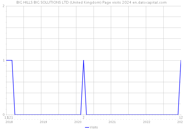BIG HILLS BIG SOLUTIONS LTD (United Kingdom) Page visits 2024 