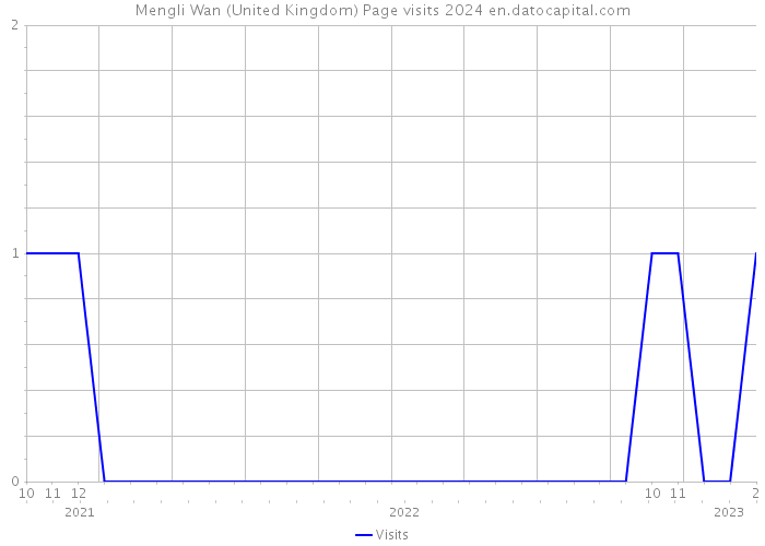 Mengli Wan (United Kingdom) Page visits 2024 