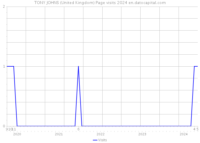 TONY JOHNS (United Kingdom) Page visits 2024 