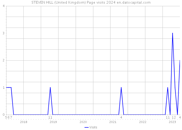 STEVEN HILL (United Kingdom) Page visits 2024 