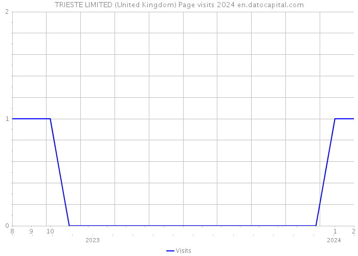 TRIESTE LIMITED (United Kingdom) Page visits 2024 