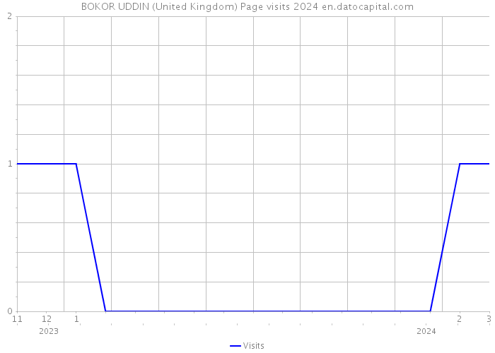 BOKOR UDDIN (United Kingdom) Page visits 2024 