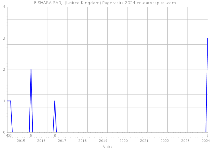 BISHARA SARJI (United Kingdom) Page visits 2024 
