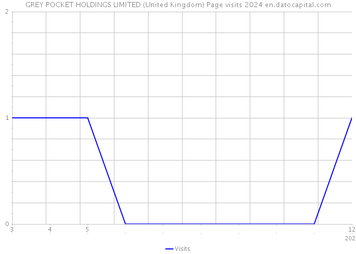 GREY POCKET HOLDINGS LIMITED (United Kingdom) Page visits 2024 