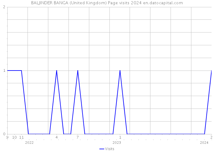 BALJINDER BANGA (United Kingdom) Page visits 2024 