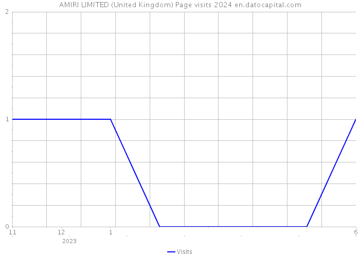 AMIRI LIMITED (United Kingdom) Page visits 2024 