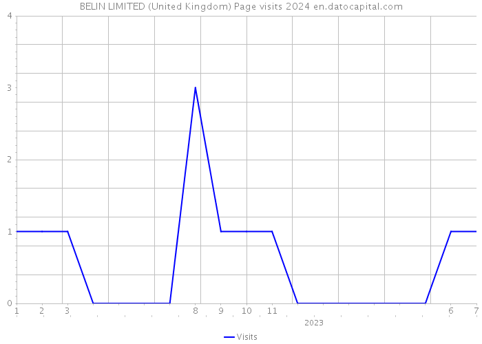 BELIN LIMITED (United Kingdom) Page visits 2024 