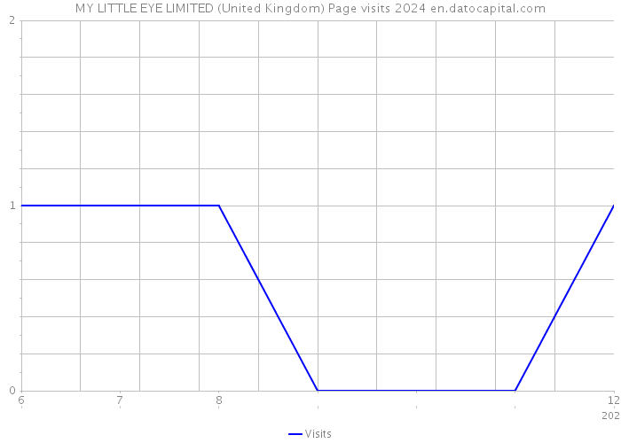 MY LITTLE EYE LIMITED (United Kingdom) Page visits 2024 
