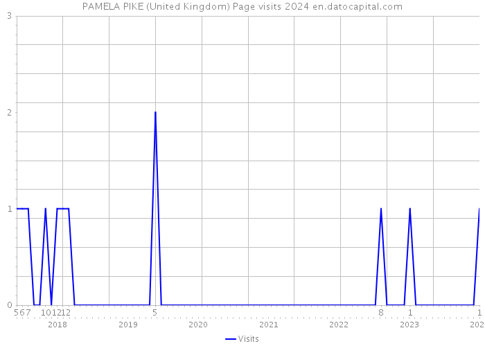 PAMELA PIKE (United Kingdom) Page visits 2024 