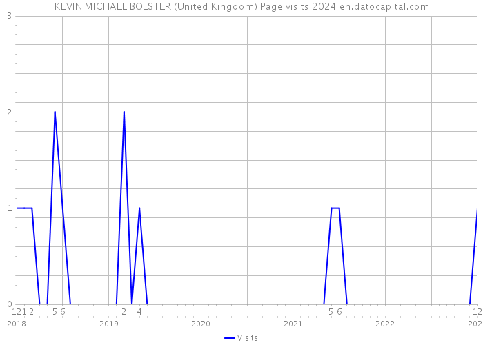 KEVIN MICHAEL BOLSTER (United Kingdom) Page visits 2024 