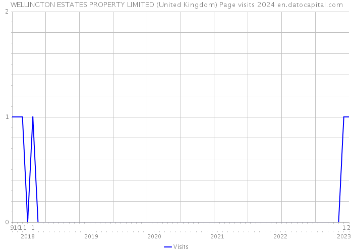 WELLINGTON ESTATES PROPERTY LIMITED (United Kingdom) Page visits 2024 