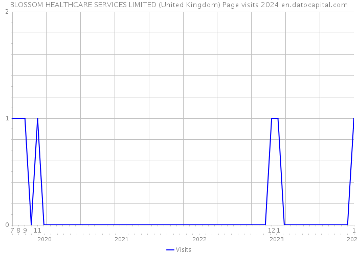 BLOSSOM HEALTHCARE SERVICES LIMITED (United Kingdom) Page visits 2024 