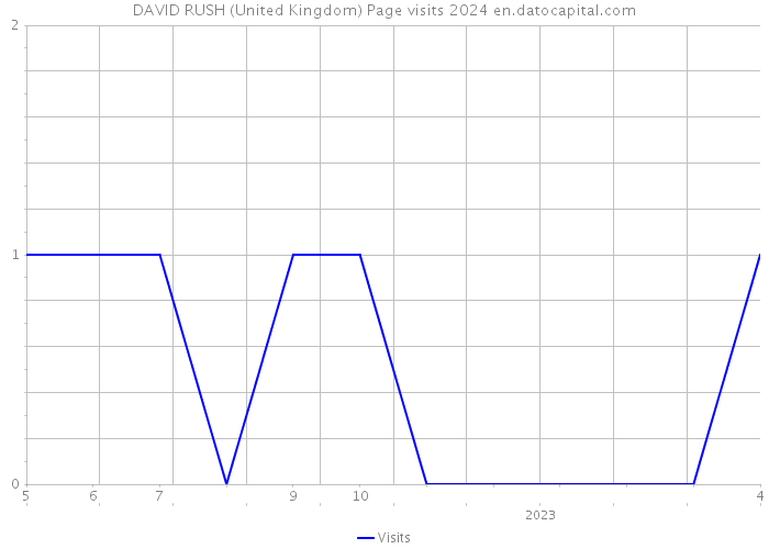 DAVID RUSH (United Kingdom) Page visits 2024 