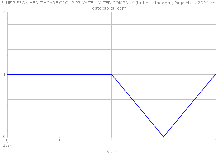 BLUE RIBBON HEALTHCARE GROUP PRIVATE LIMITED COMPANY (United Kingdom) Page visits 2024 