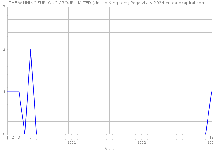 THE WINNING FURLONG GROUP LIMITED (United Kingdom) Page visits 2024 
