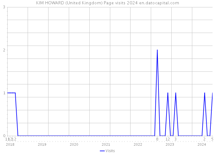 KIM HOWARD (United Kingdom) Page visits 2024 