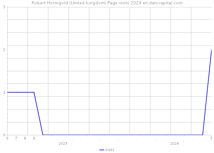 Robert Hornigold (United Kingdom) Page visits 2024 