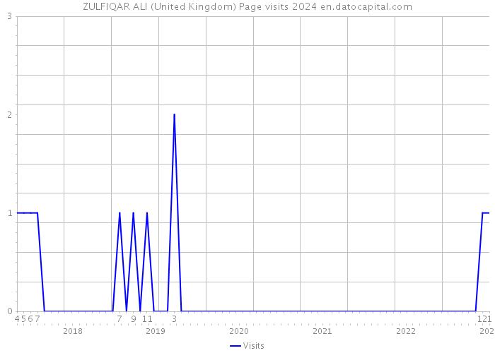 ZULFIQAR ALI (United Kingdom) Page visits 2024 