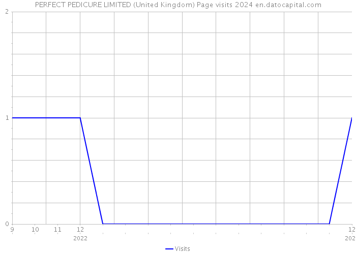 PERFECT PEDICURE LIMITED (United Kingdom) Page visits 2024 