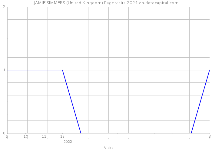 JAMIE SIMMERS (United Kingdom) Page visits 2024 