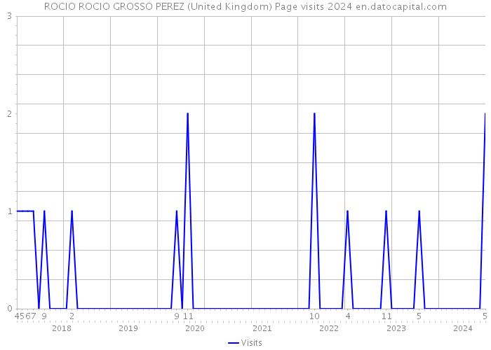 ROCIO ROCIO GROSSO PEREZ (United Kingdom) Page visits 2024 
