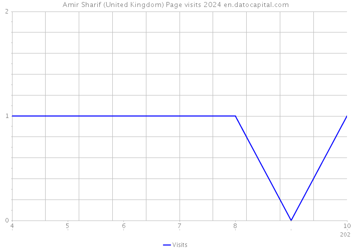 Amir Sharif (United Kingdom) Page visits 2024 