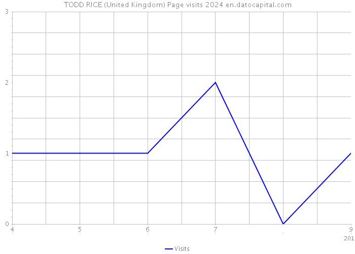 TODD RICE (United Kingdom) Page visits 2024 