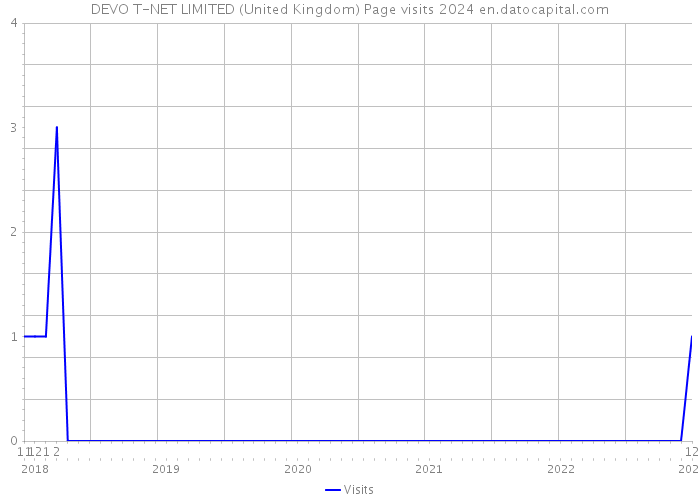 DEVO T-NET LIMITED (United Kingdom) Page visits 2024 