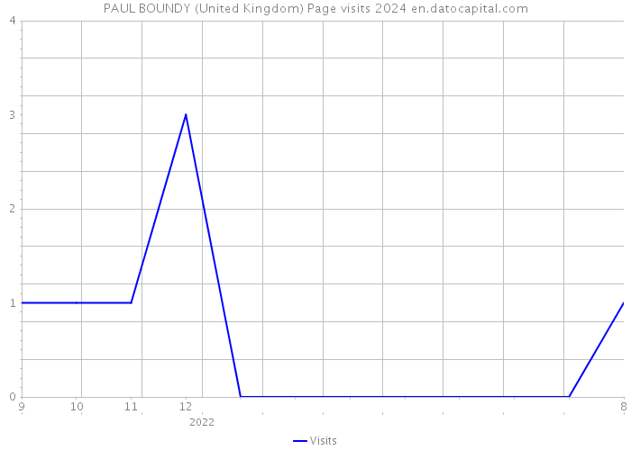 PAUL BOUNDY (United Kingdom) Page visits 2024 