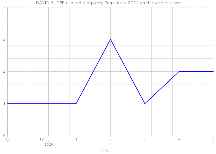 DAVID RUDER (United Kingdom) Page visits 2024 